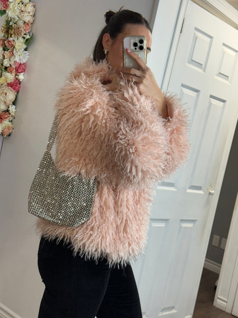 Crystal Purse