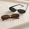 Oval Small Frame Sunglasses in Black