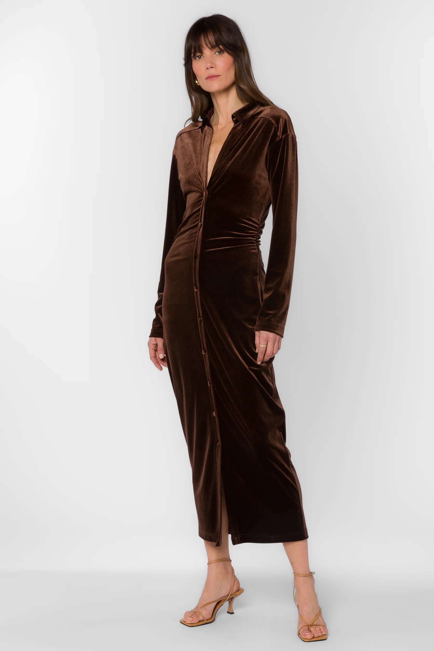 Phoenix Velvet Brown Dress