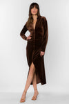 Phoenix Velvet Brown Dress