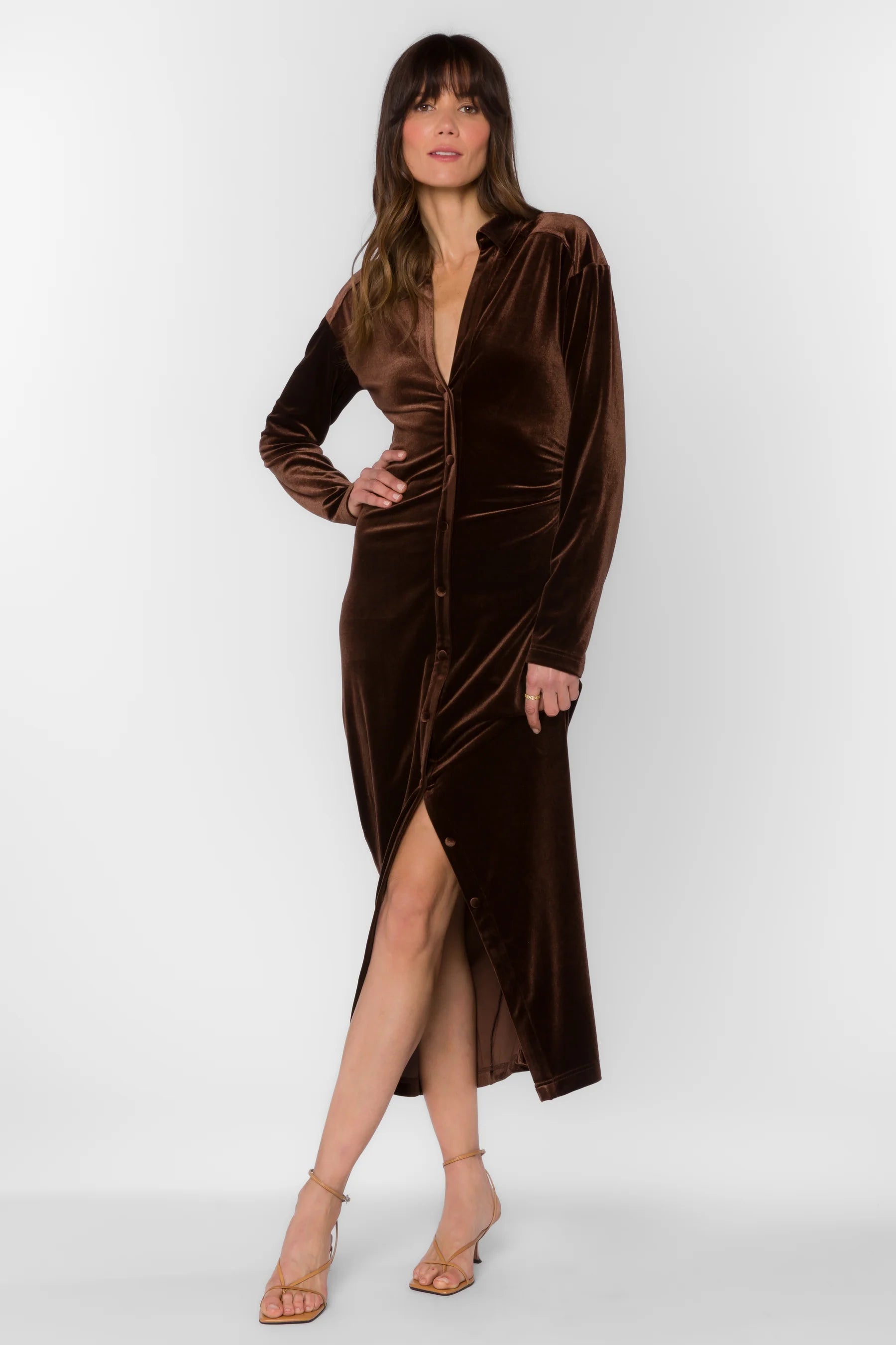 Phoenix Velvet Brown Dress