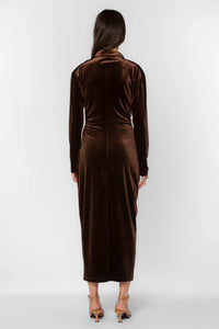 Phoenix Velvet Brown Dress