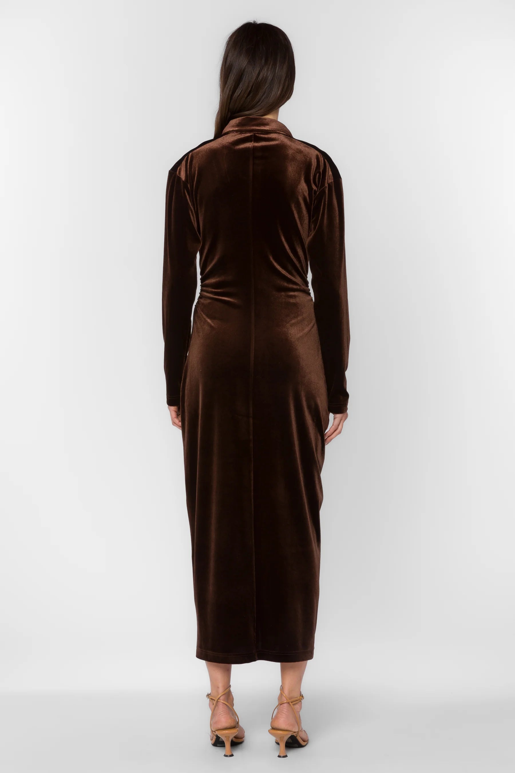 Phoenix Velvet Brown Dress