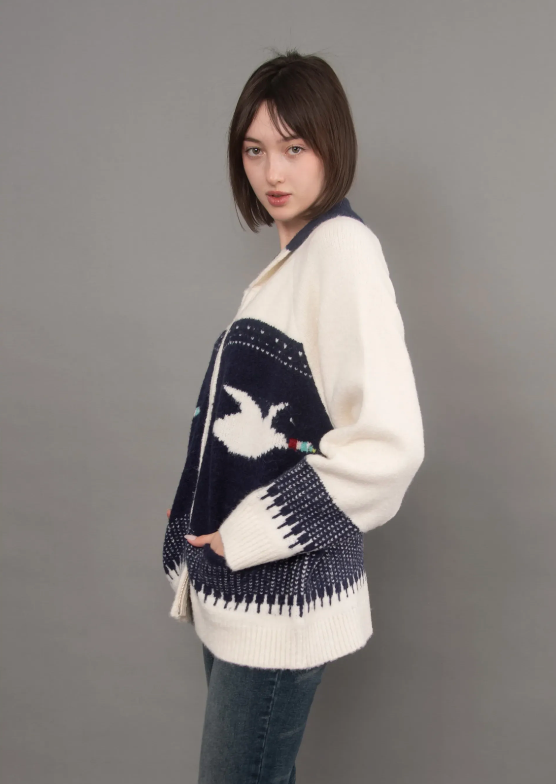 Taji Raglan Shawl Neck Collar | Navy & Ducks