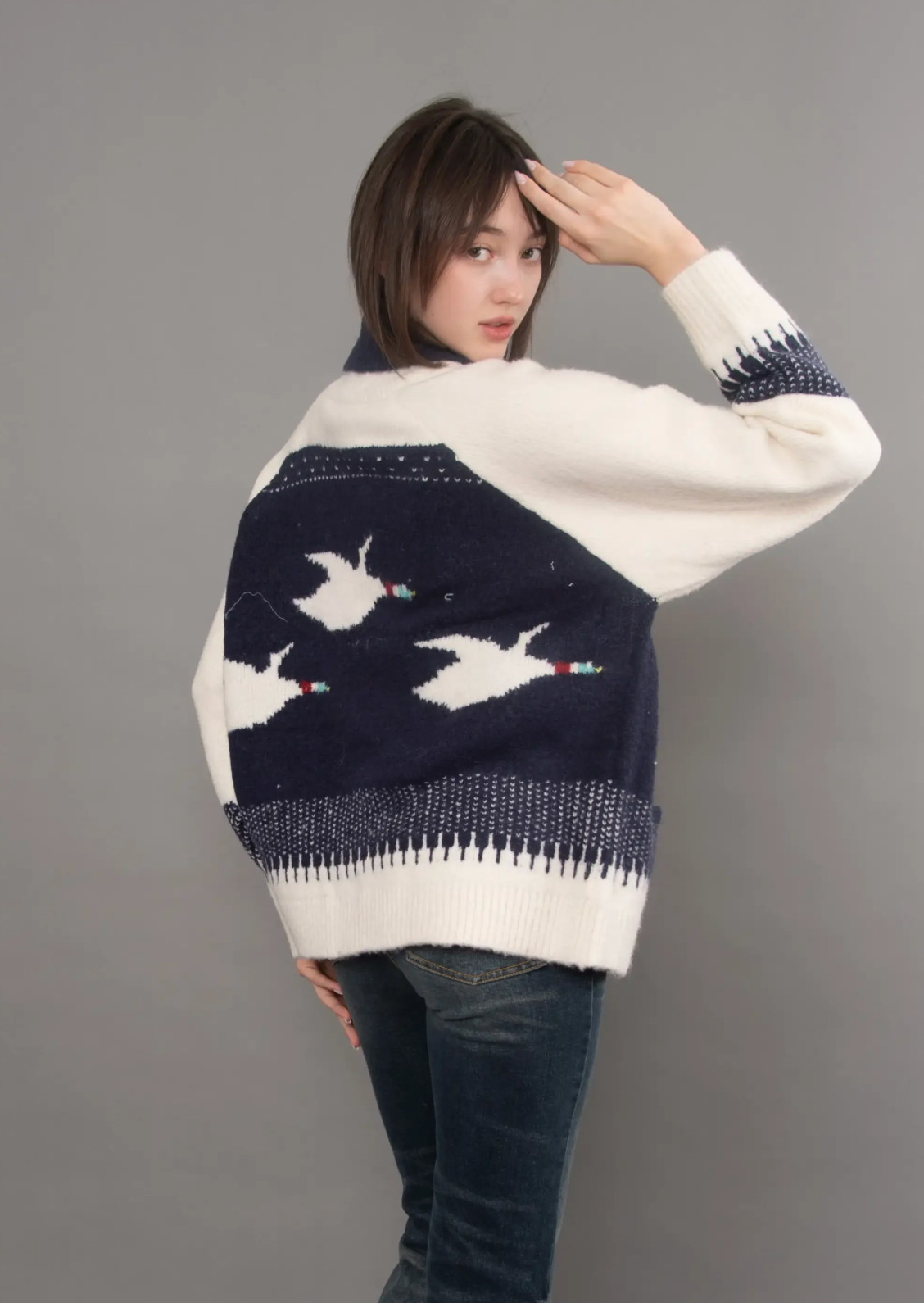 Taji Raglan Shawl Neck Collar | Navy & Ducks