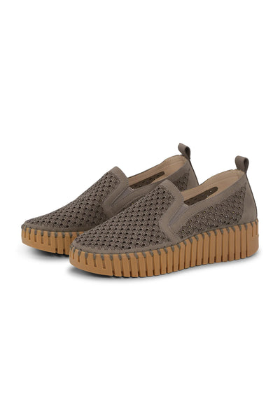 Tulip 4078 | Wheat – Krush Clothing Boutique