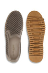 Tulip 4078 | Wheat