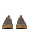 Tulip 4078 | Wheat