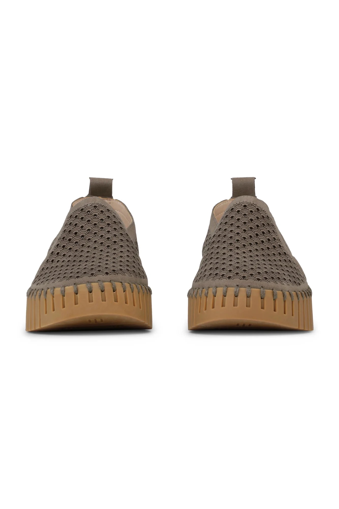 Tulip 4078 | Wheat