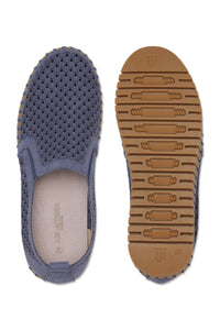 Tulip 4078 | Ombre Blue
