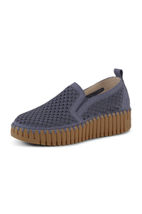 Tulip 4078 | Ombre Blue