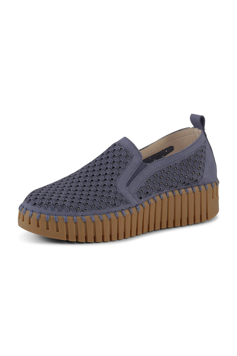 Tulip 4078 | Ombre Blue