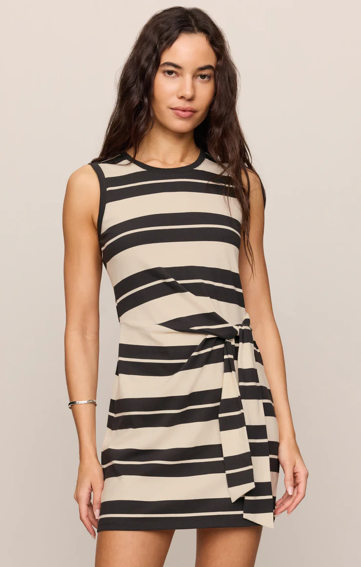 Mattie Striped Mini Dress | Ash Black