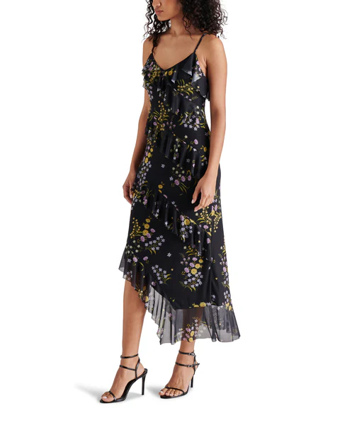 Aida Dress in Black Floral