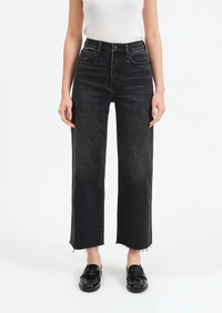 Pleaser High Rise Wide Leg in Twilight