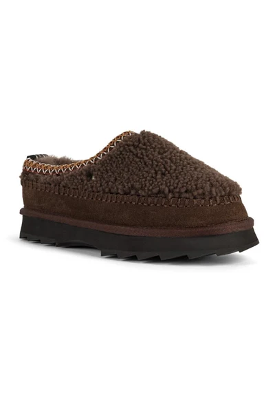Sharky Adventure Scuff Teddy | Chocolate
