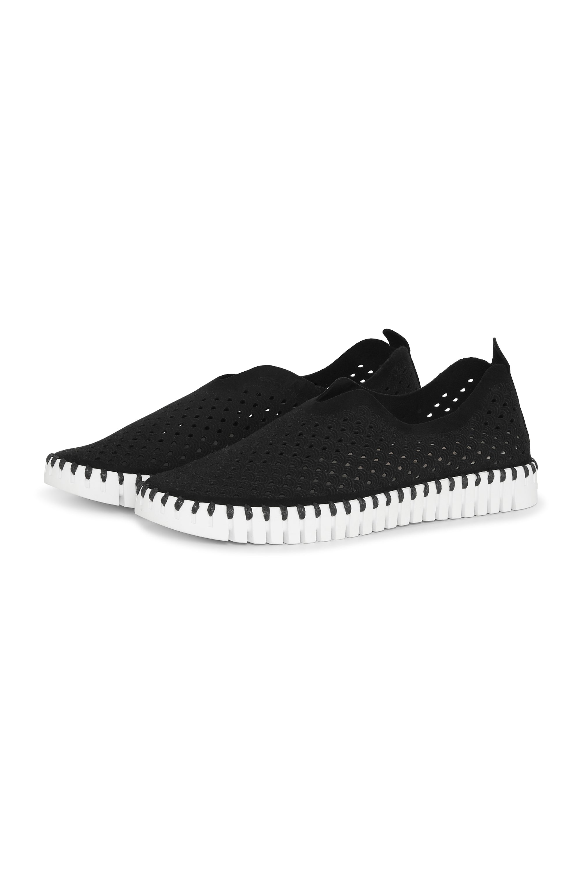 Tulip 139 Perforated Slip-On Sneaker in Black – Krush Clothing