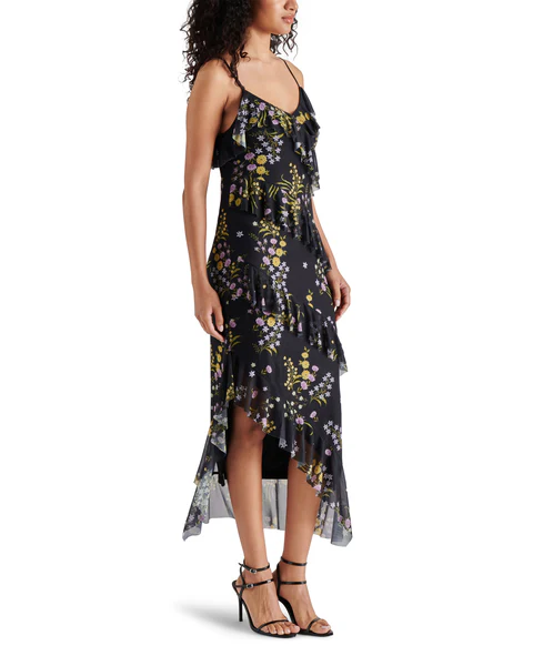 Aida Dress in Black Floral