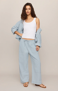 Soft Denim Carpenter Pant | Seaboard Stripe