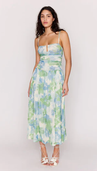 Carrie Watercolour Mesh Maxi