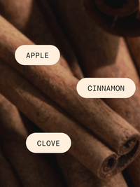 Cinnamon Cider | PURA Diffuser