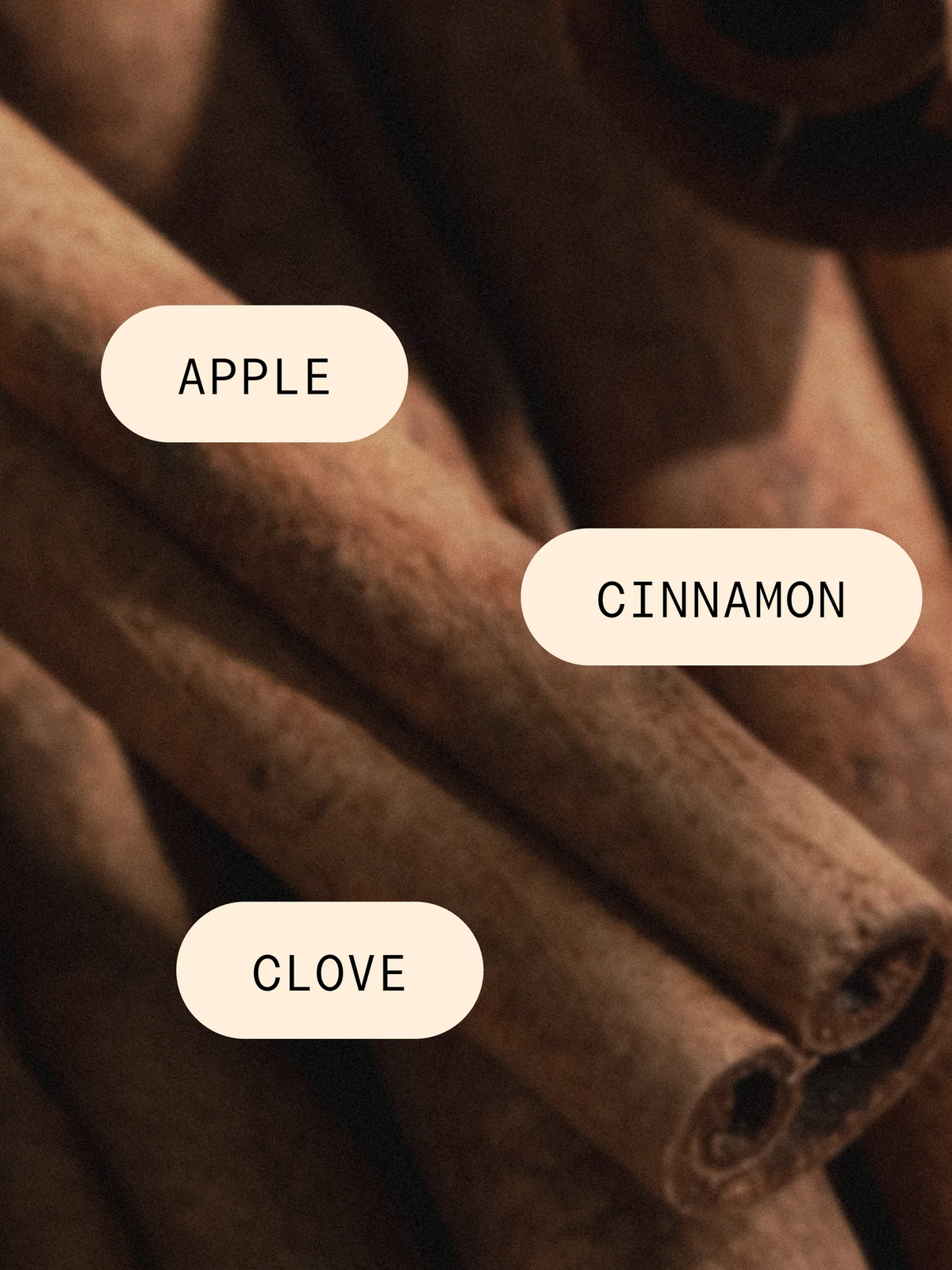 Cinnamon Cider | PURA Diffuser