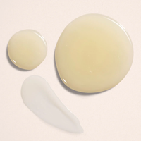 Body Serum | Beauty From Bees